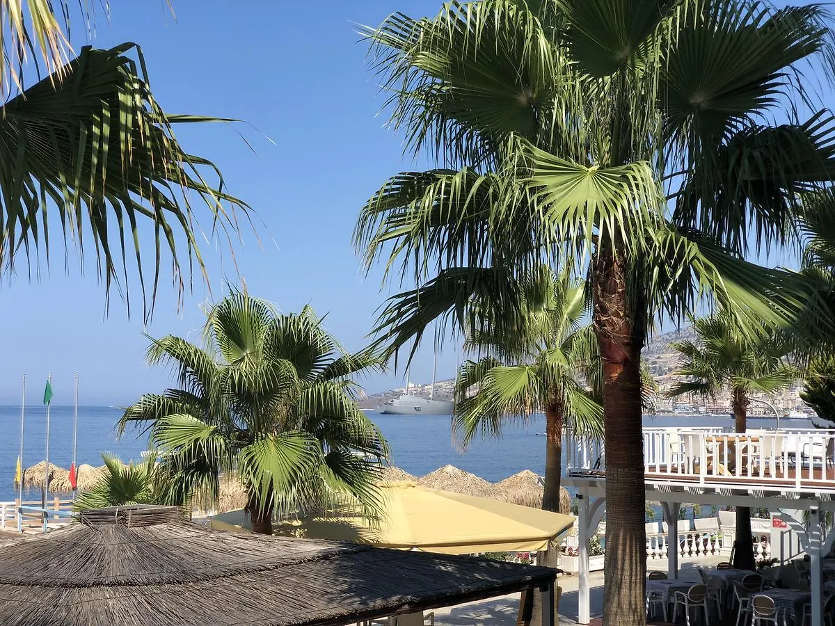 Residence Saranda International 0*, Sarande Albania